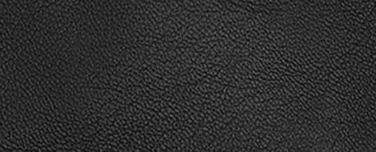 Leather Tech Gloves