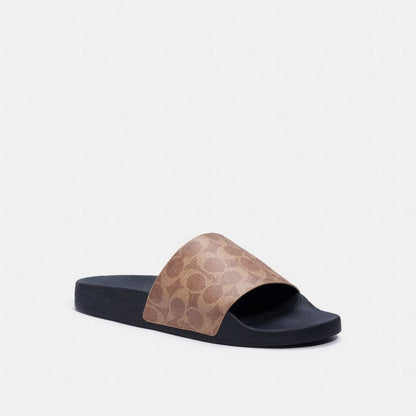 Pool Slide In Signature Canvas