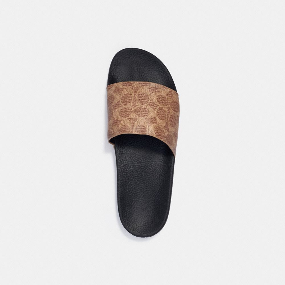 Pool Slide In Signature Canvas