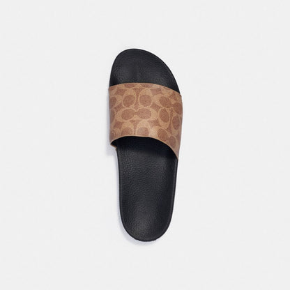 Pool Slide In Signature Canvas