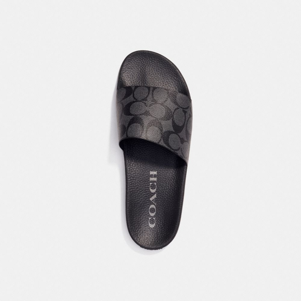 Pool Slide In Signature Canvas