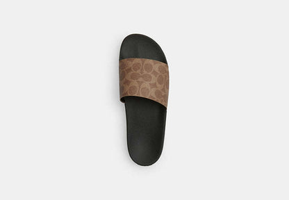 Slide In Signature Canvas