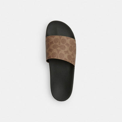 Pool Slide In Signature Canvas