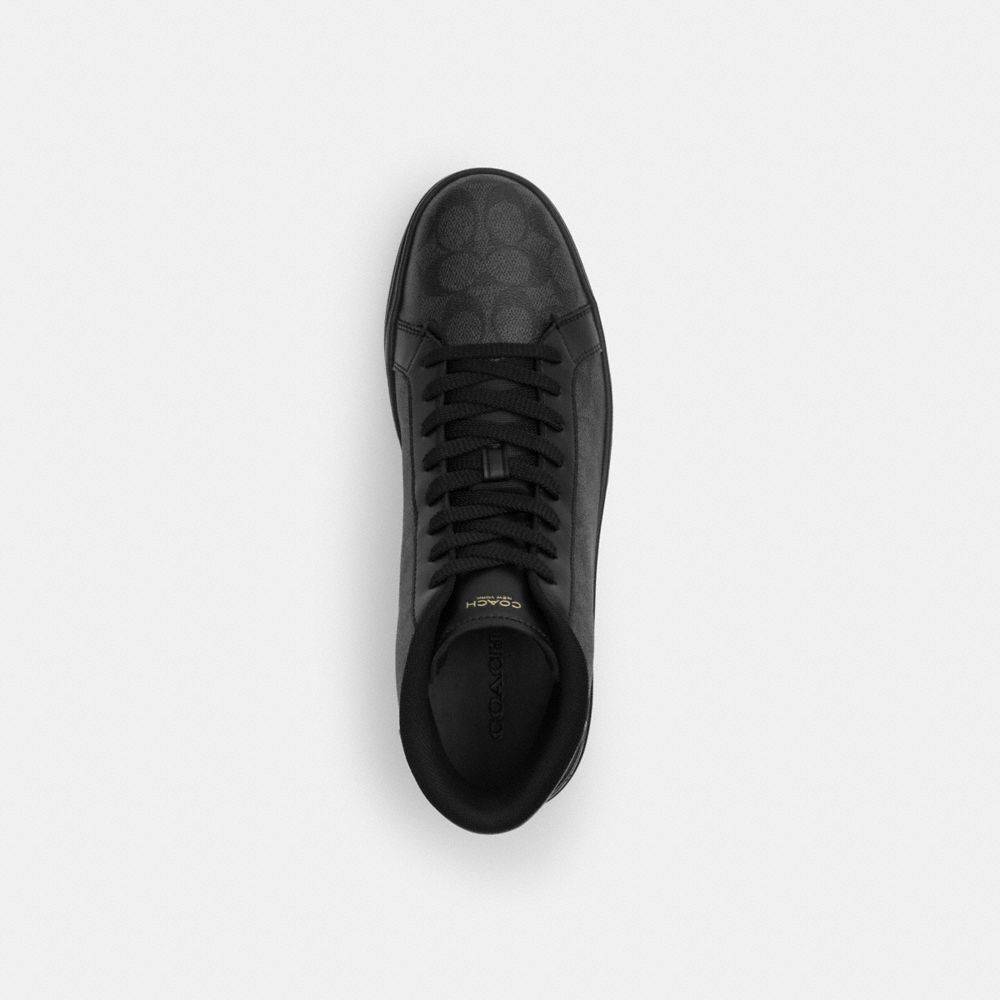 High Line High Top Sneaker In Signature Canvas