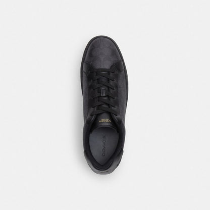 High Line Sneaker In Signature Canvas