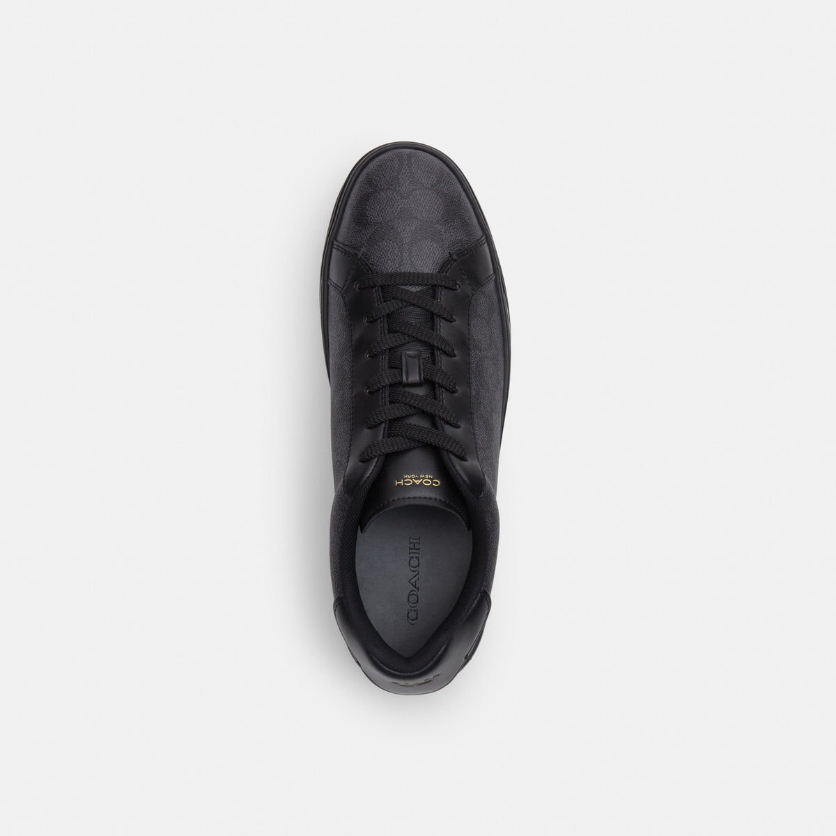 High Line Sneaker In Signature Canvas