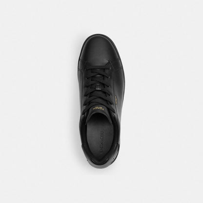 High Line Sneaker In Signature Canvas
