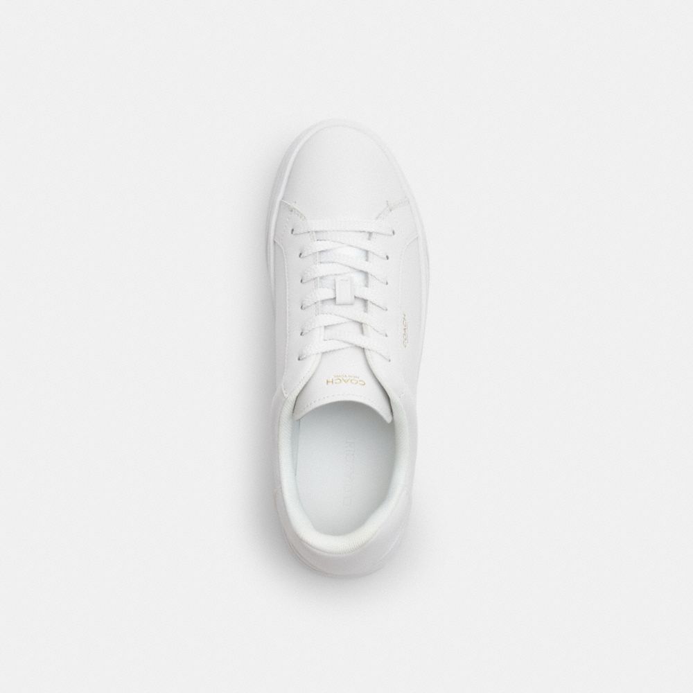 High Line Sneaker In Signature Canvas — Part 1