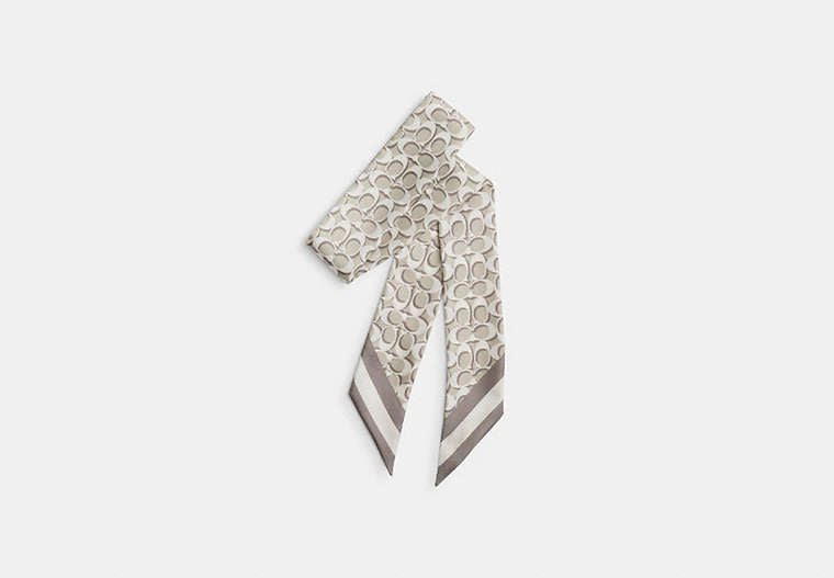 Signature Silk Skinny Scarf