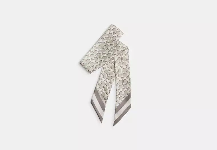 Signature Silk Skinny Scarf