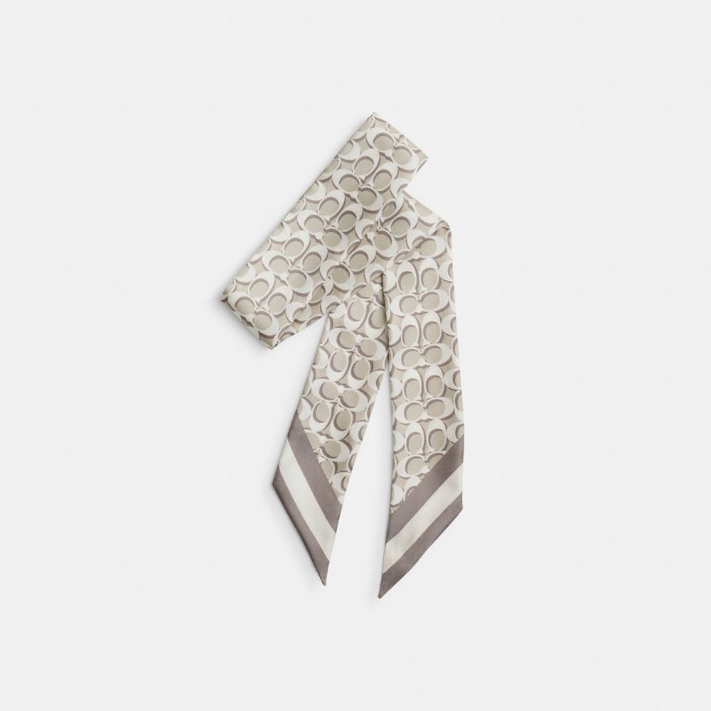 Signature Print Silk Skinny Scarf