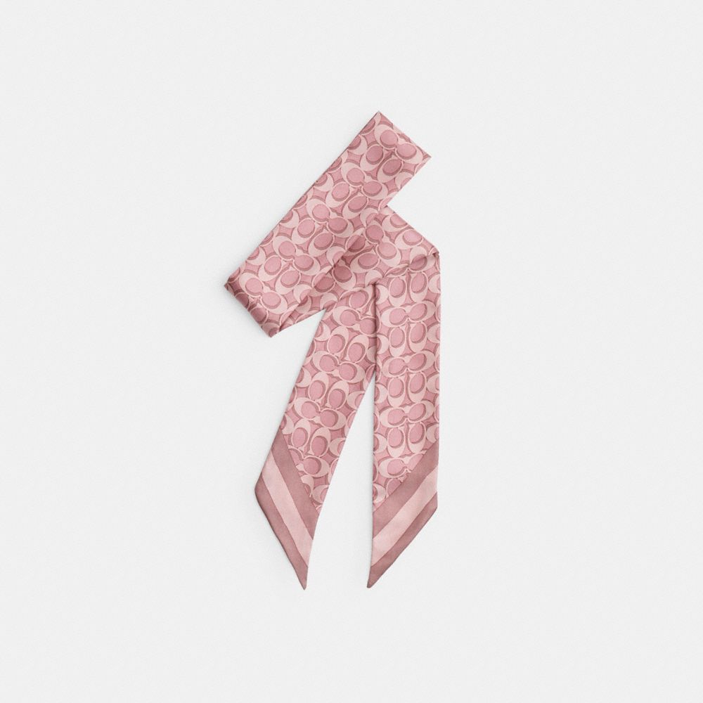 Signature Silk Skinny Scarf