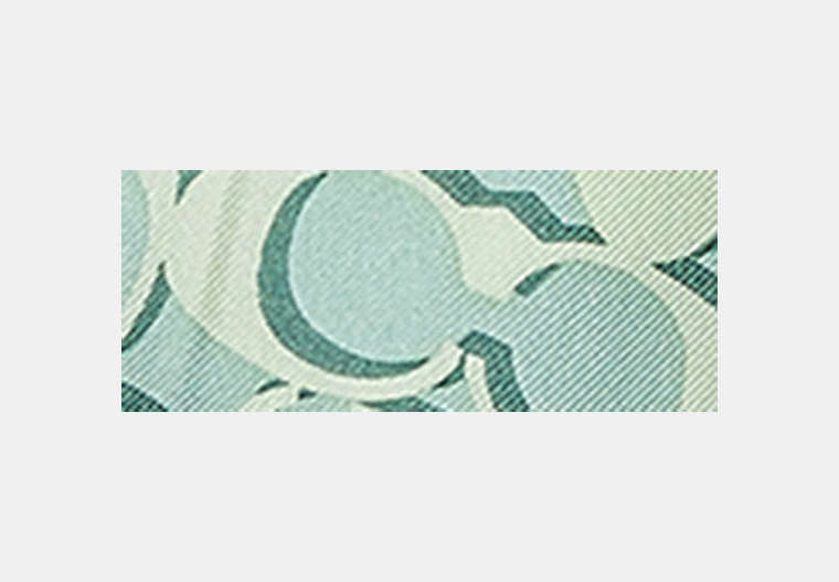 Signature Silk Skinny Scarf