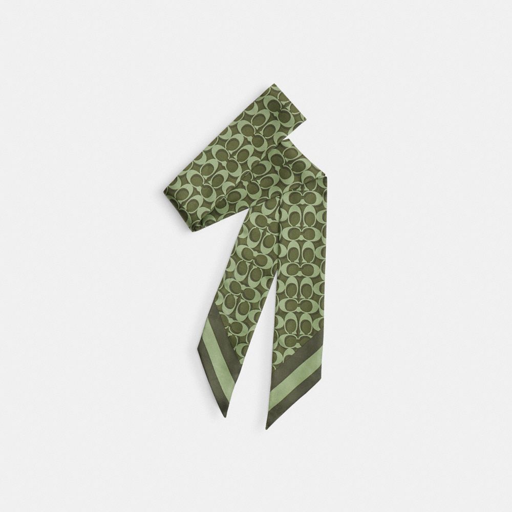Signature Silk Skinny Scarf