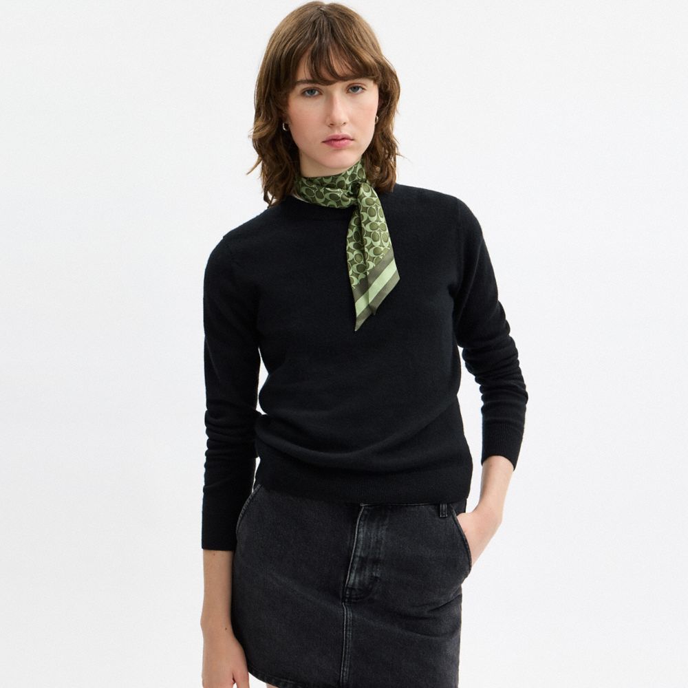 Signature Silk Skinny Scarf