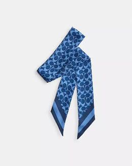 Signature Silk Skinny Scarf