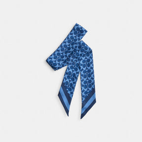 Signature Silk Skinny Scarf