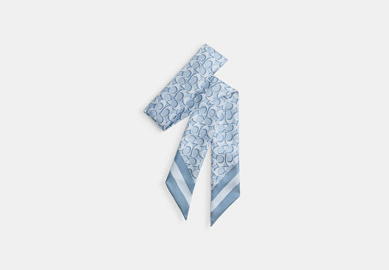 Signature Silk Skinny Scarf