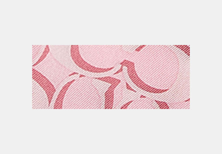 Signature Silk Skinny Scarf