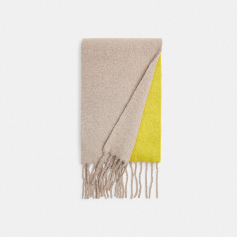 Colorblock Muffler With Rubber Patch