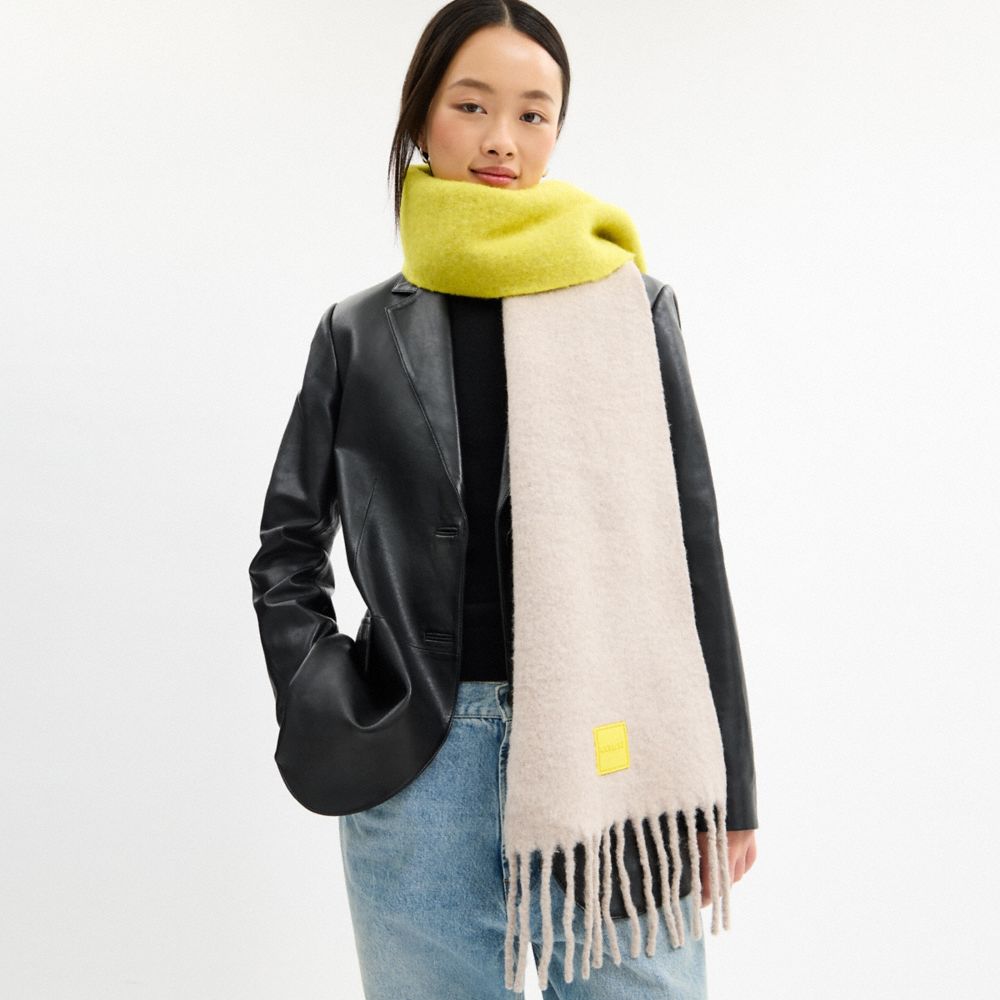 Colorblock Muffler With Rubber Patch