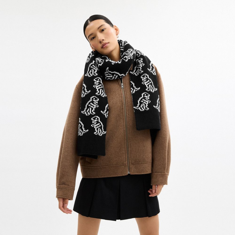 Dino Print Knit Muffler