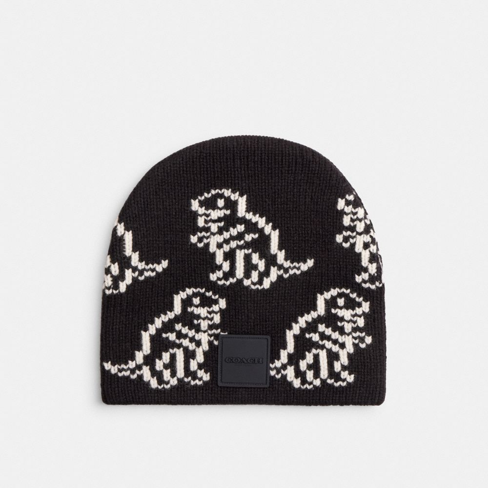 Dino Print Knit Beanie