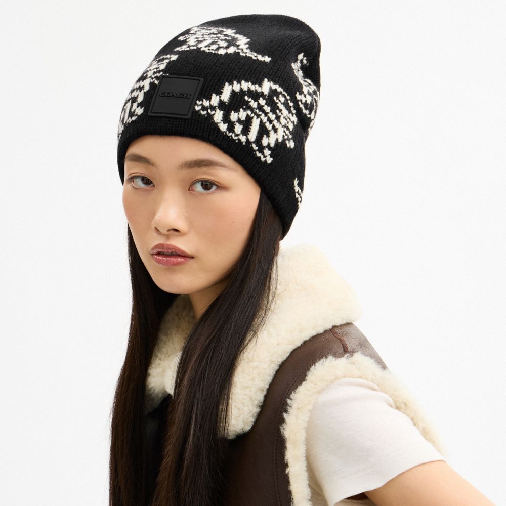 Dino Print Knit Beanie
