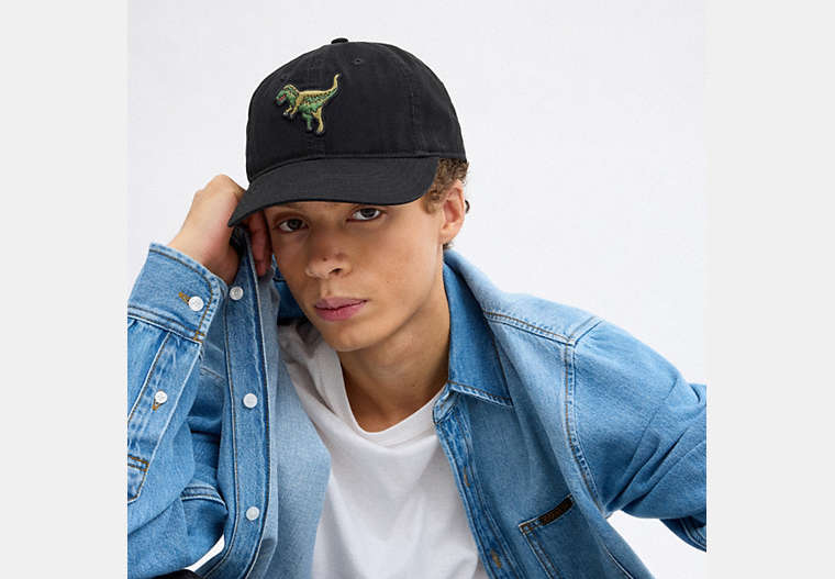 Rexy Patch Baseball Hat