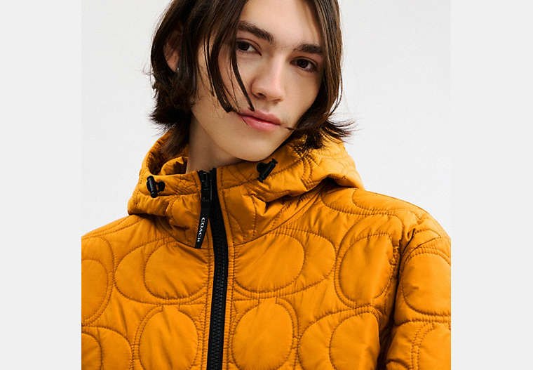 Quilted Signature Puffer Jacket In Recycled Polyester