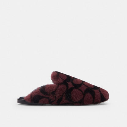 Slipper In Signature Shearling