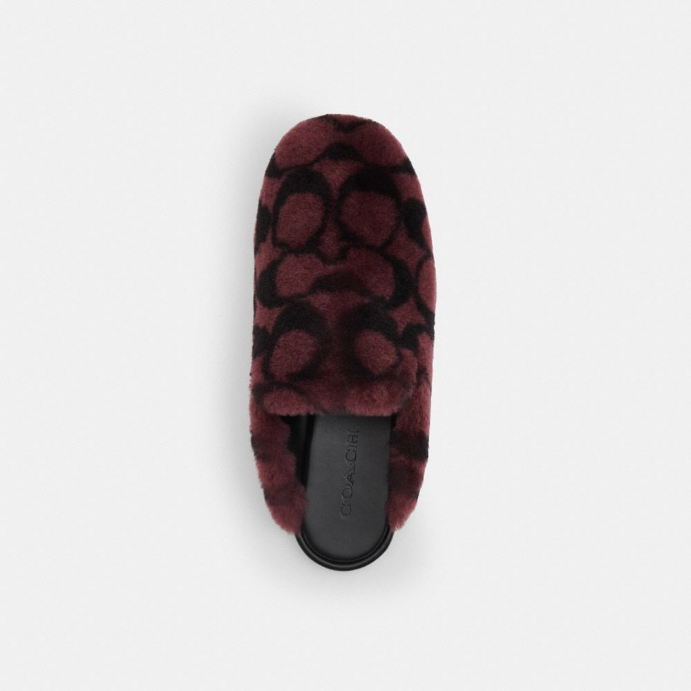 Slipper In Signature Shearling
