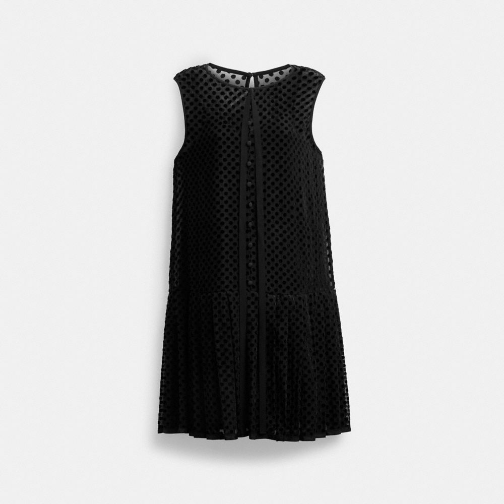 Velvet Burnout Dress