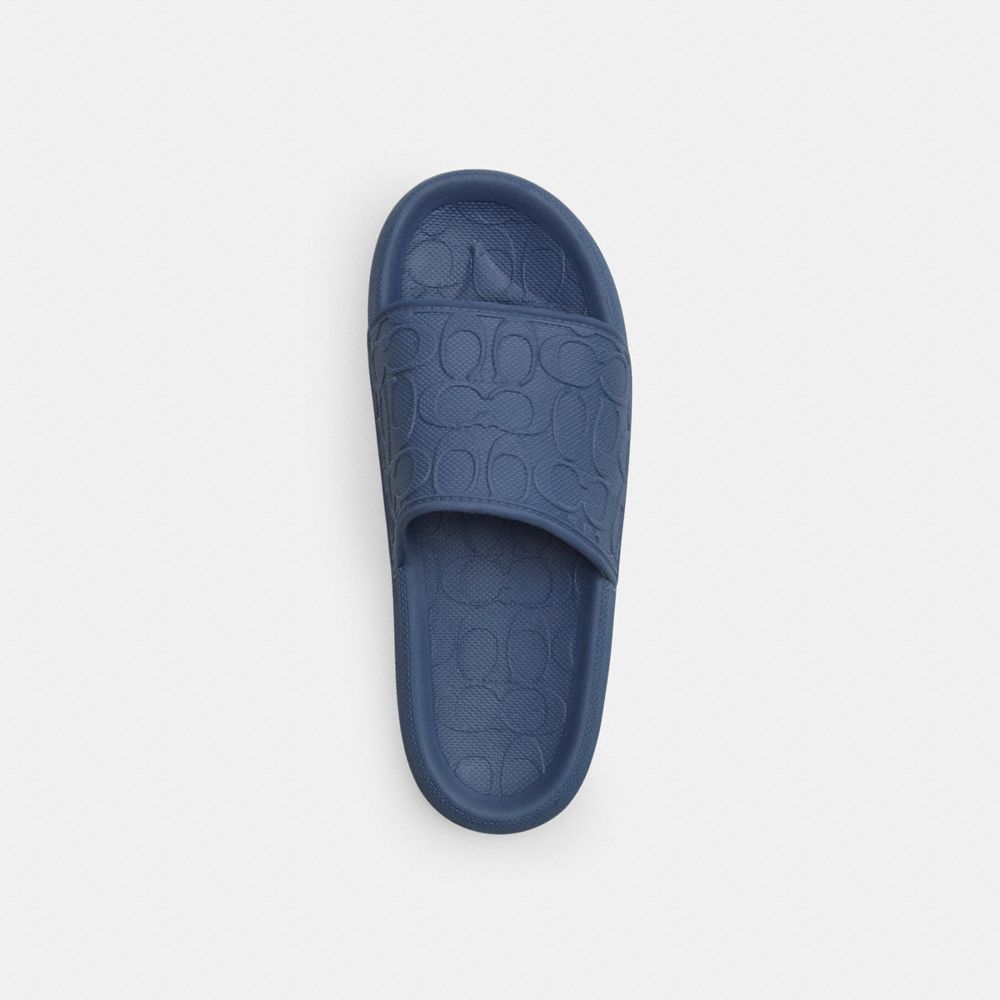 Pool Slide In Signature Canvas