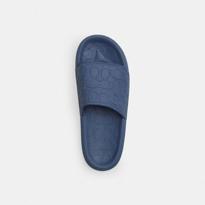 Pool Slide In Signature Canvas