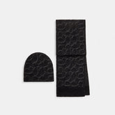 Signature Metallic Beanie And Muffler Gift Set