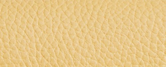 Etta Small Flap Shoulder Bag