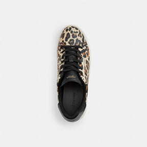 High Line Sneaker With Leopard Print