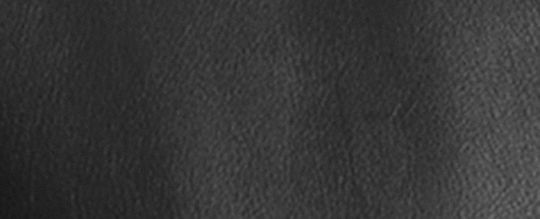 Leather Varsity Jacket