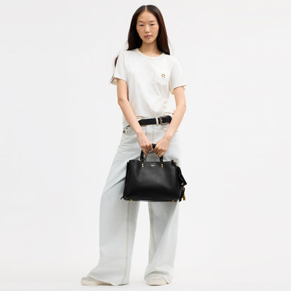 Rogue Bag 31