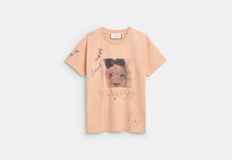 Carroty Shrunken T-Shirt In Organic Cotton