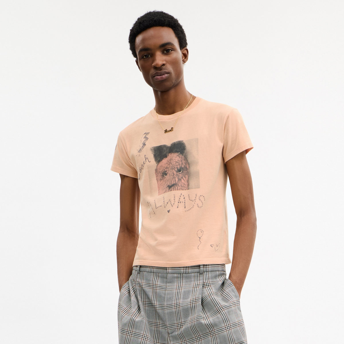 Carroty Shrunken T-Shirt In Organic Cotton