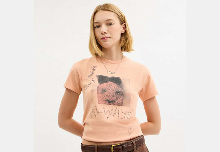 Carroty Shrunken T-Shirt In Organic Cotton