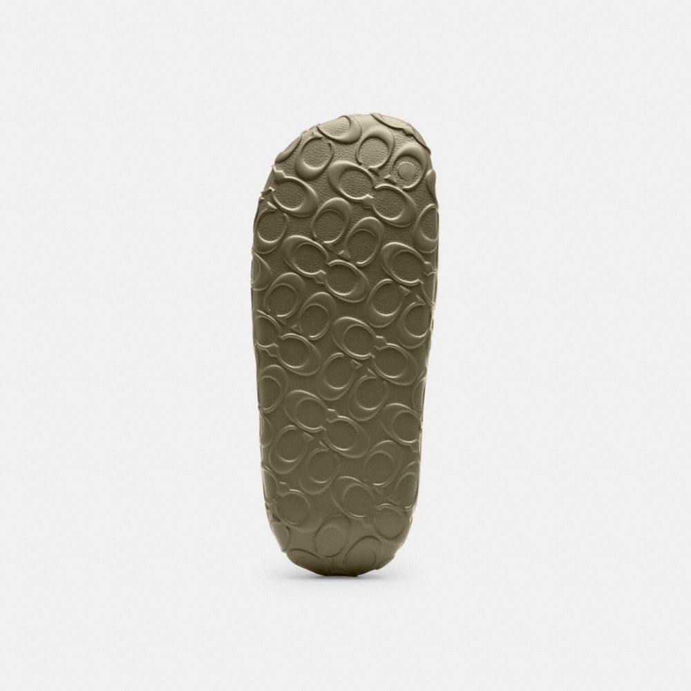 Bay Slide In Signature