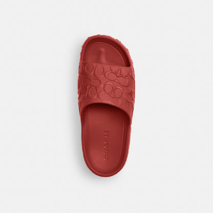 Bay Slide In Signature