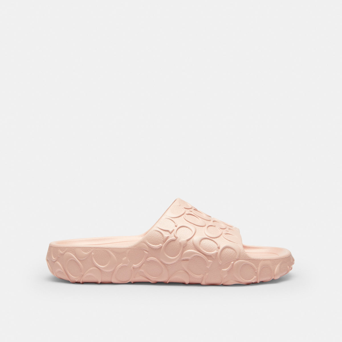 Bay Slide In Signature