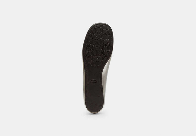 Phoebe Ballet Flat