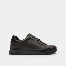 High Line Sneaker In Signature Canvas