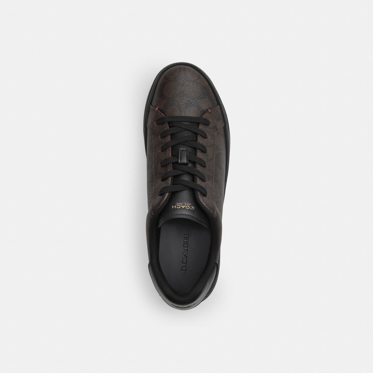 High Line Sneaker In Signature Canvas