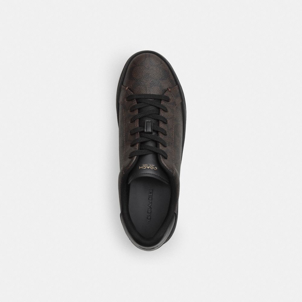 High Line Sneaker In Signature Canvas